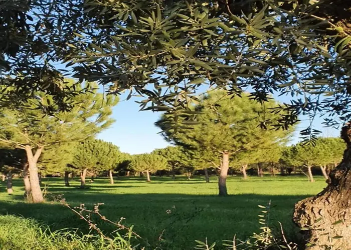 Holiday home Vintage In Lisbon With Pool
