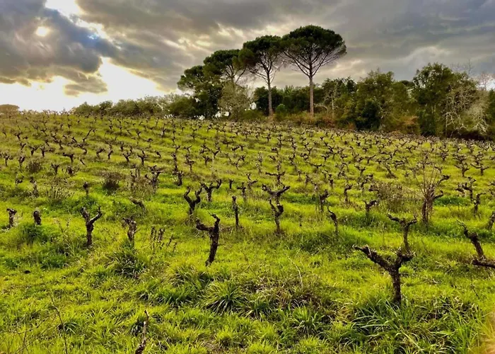 Holiday home Vintage In Lisbon With Pool Soudos